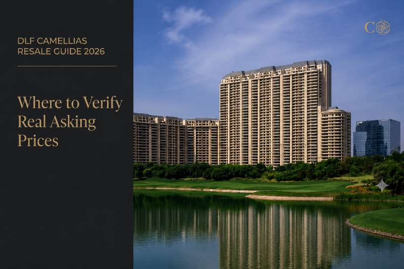 Verifying Real DLF Camellias Resale Prices